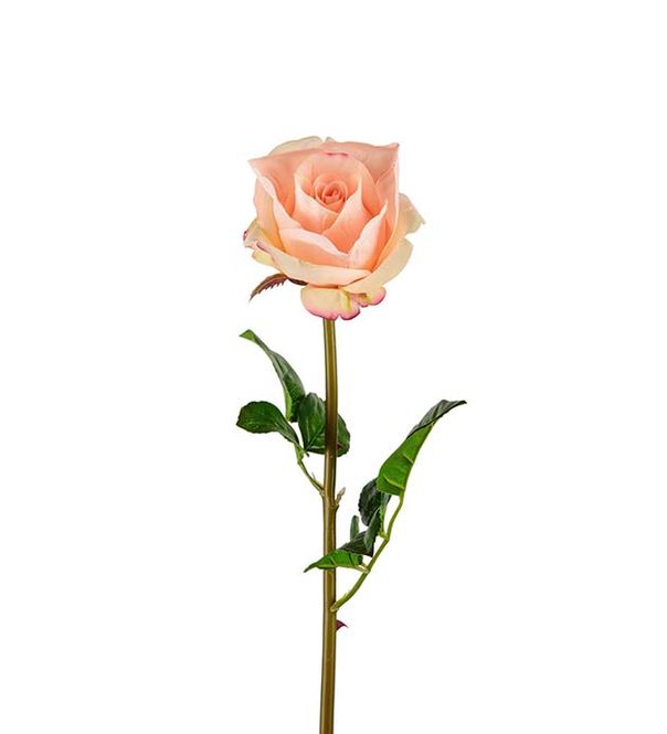 Hovedbilde Rose 65 cm (aprikos) - Real Touch