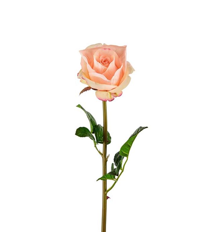 Rose 65 cm (aprikos) - Real Touch